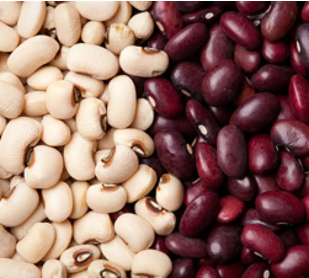 White and Red kidney Beans