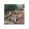 TIMBER LOGS AND WOOD RUBBER WOOD LOOK RUBBER FLOOR