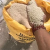 25% broken rice india