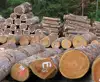 construction wood Pine, Spruce and Red Meranti Sawn Timber logs
