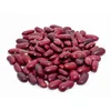 Quality Red Light Speckled Kidney Beans