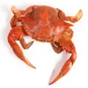 3 SPORT CRAB WHOLE FRESH AND ORGANIC
