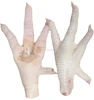 /product-detail/frozen-chicken-paws-b-grade-from-ukraine-50037818428.html