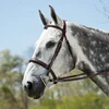 Bridle baroque horse bridles Portuguese Hunter bridles New Dressage Collection Rolled Noseband HORSE Hunter
