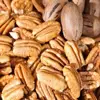 Raw Pecan nuts/Roasted Pecan nuts/Sweet Pecan nuts