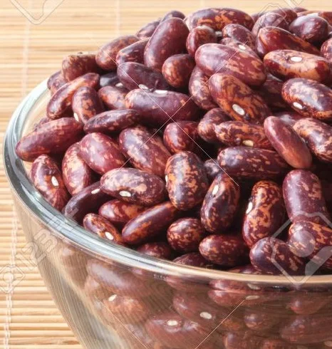 speckled light red kidney beans