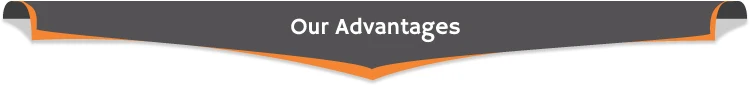 Our-Advantages-t.jpg