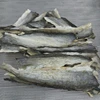 Competitive Price_Vietnam Dried Fish Skin / Pangasius / Basa Fish Skin / Catfish Skin for Collagen (Ms.IvyNguyen)
