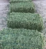 /product-detail/dehydrated-alfalfa-very-green-and-good-quality-62003895282.html
