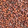 /product-detail/cacao-beans-dried-criollo-cocoa-beans-organic-roasted-cacao-beans-for-sale-62000019805.html