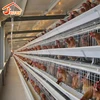 Durable 15-20 years life time chicken cage layers new design layer egg chicken cage/poultry farm house design for egg chicken