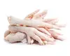 brazil Fresh Frozen Processed Chicken Feet and Paws just now for reasonable price