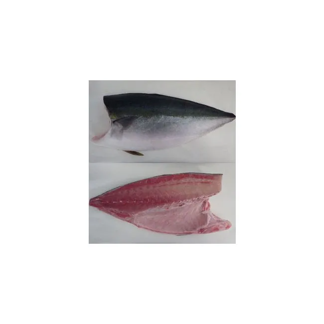 exceptionally fresh aqua blue yellowtail fillet round semi dress loin seafood export
