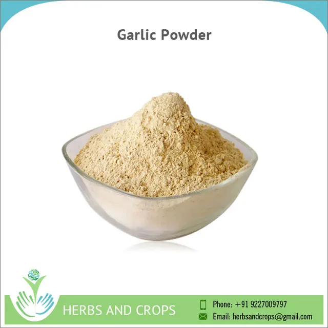 india garlic powder extract