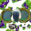 /product-detail/butterfly-pea-flower-in-powder-from-thailand-50037620029.html