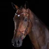/product-detail/horse-anatomic-bridle-horse-training-bridle-horse-european-leather-50045027528.html