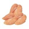 /product-detail/certified-halal-frozen-chicken-breast-skinless-boneless-chicken-breast-fillets-50038458916.html