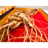 /product-detail/chinese-organic-raw-hide-tail-wild-ginseng-root-tonic-reinforce-strength-62003962170.html