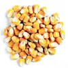 Best Quality Whole Yellow Maize