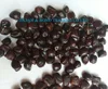/product-detail/tamarind-seeds-50033995776.html
