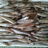 VIET NAM DRIED ANCHOVY / DRIED FISH/ SEAFOOD WITH GOOD QUALITY (WHATSAPP +84 3 76540581)