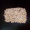 INDIAN CHICKPEAS