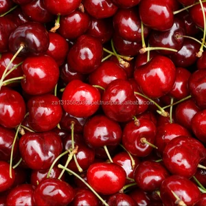 top fresh cherry/canned cherry/cherry fruit