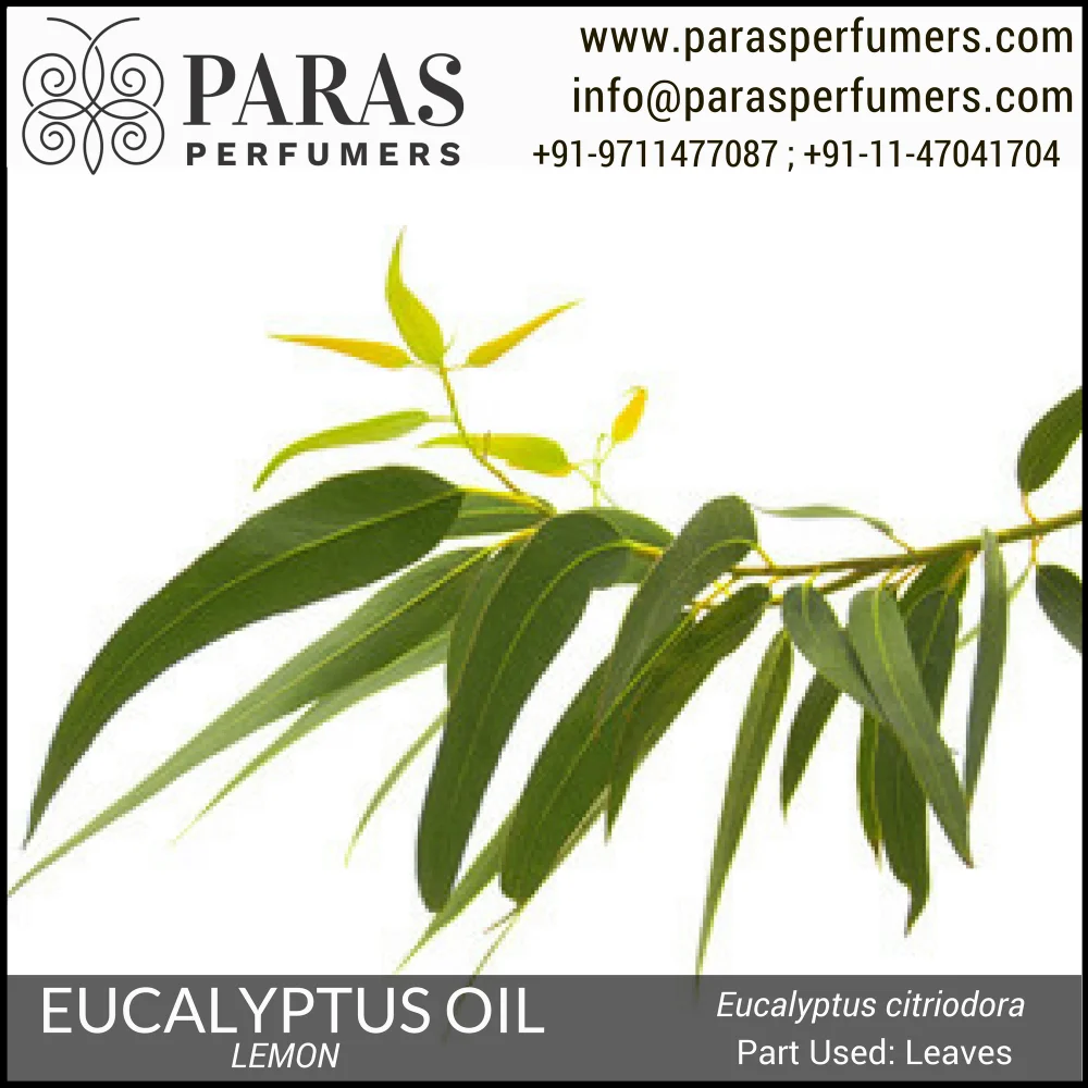 lemon eucalyptus oil