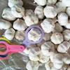 /product-detail/fresh-ly-son-garlic-at-best-price-whatsapp-84-917343549-50046250008.html