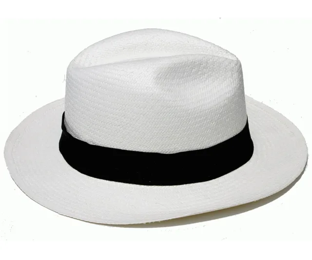 the panama hat image