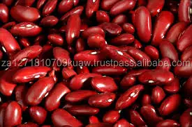Red Kidney Beans ( Small Red / Pure Red Kidney Bean)