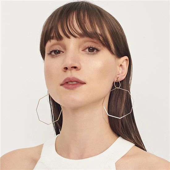 Fashionable Personality Exaggerate Earrings Geometric Elements Minimalist Business Earrings, Picture shows
Fashionable Personality Exaggerate Earrings Geometric Elements Minimalist Business Earrings, Picture shows