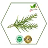 /product-detail/manufacturer-100-pure-and-natural-rosemary-essential-oil-50044714404.html