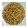 Barley Malt Use Most Updated Machines Used In Breweries, Distilleries, Food Manufacturing Industry
