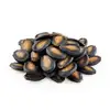 /product-detail/fresh-style-black-watermelon-seeds-50045620537.html