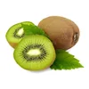 Wholesale Fresh Kiwi Fruits supplier
