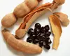 /product-detail/tamarind-seed-removing-62008966922.html