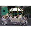 /product-detail/royal-princess-cinderella-buggy-white-wedding-cinderella-horse-carriage-manufacturer-indian-wedding-horse-buggy-carriage-62000941232.html