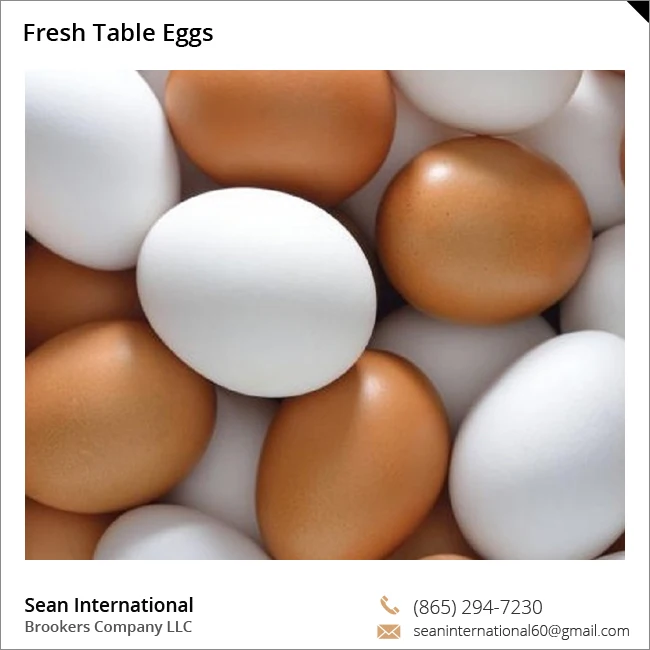broiler chicken hatching eggs