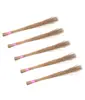 /product-detail/vietnam-coconut-broom-sticks-bulk-quantity-ms-holiday-62001483784.html