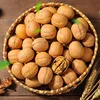Original style Raw processing organic walnuts in shell