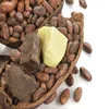 Cocoa Exporter of Best Selling Flaxseed, Cocoa & Berries
