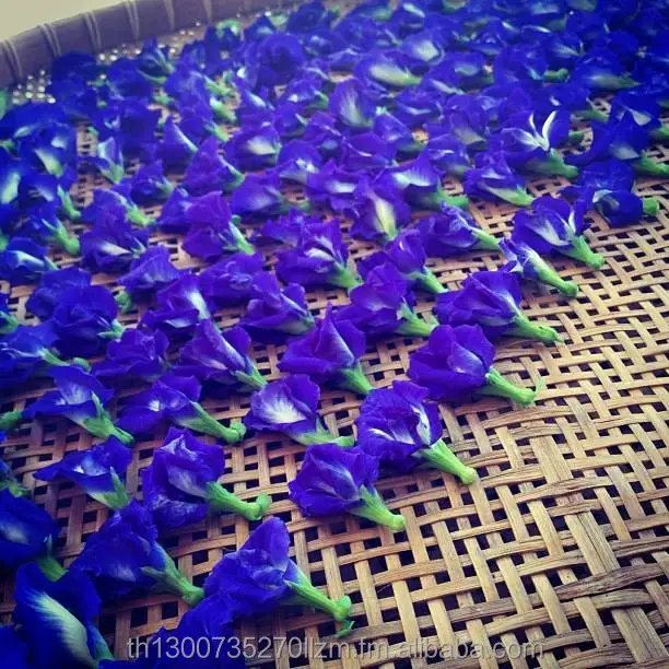 Best Quality Dried Butterfly Pea