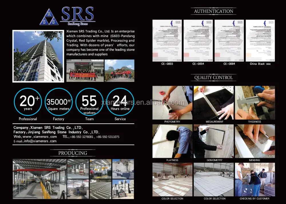 company Info.jpg