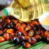 /product-detail/quality-malaysian-rbd-palm-oil-50045996693.html