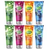 Radox Multi Pack Long Lasting Fragrances Released with Touch Body Wash
