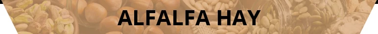 Alfalfa-Hayttl.jpg