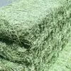 Top Quality Double compressed Alfalfa Hay for Animal Feeding Stuff Alfalfa / Timothy Hay / Alfalfa Hay for Sale