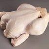 /product-detail/good-looking-halal-frozen-chicken-feet-paws-breast-whole-chicken-legs-and-wings-50039131617.html
