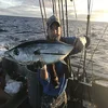 7.5 kg Vacuum Bag Perciformes Species Tuna Thunnus Alalunga Frozen Albacore Tuna Loin